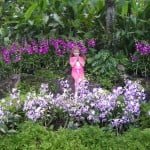 orchidscape6