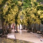 The Oncidium Walkway