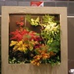 Orchid Floral Window 2