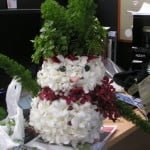 Orchid Snowman Orchid Snowman