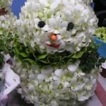 Orchid Snowman Orchid Snowman