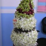 Orchid Snowman Orchid Snowman