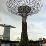 Preview @ Gardens by the Bay